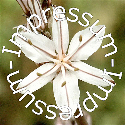 impressum impressum
